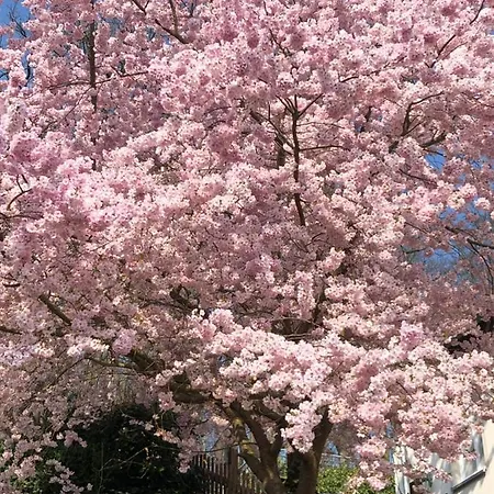 Ferienhaus Eisenach Σπίτι διακοπών Άιζεναχ