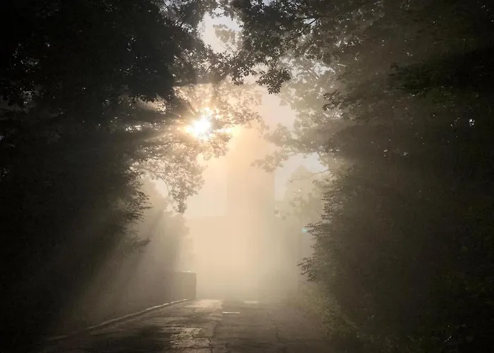 Ferienhaus Eisenach * Eisenach