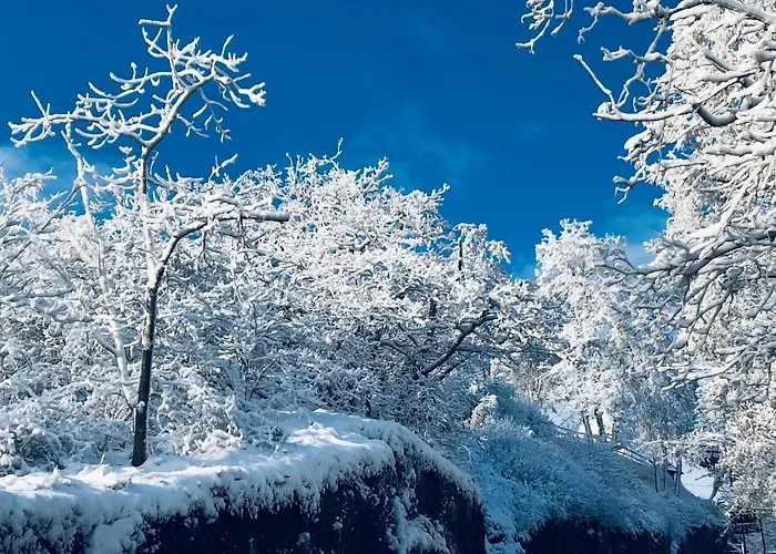 Ferienhaus Eisenach Eisenach