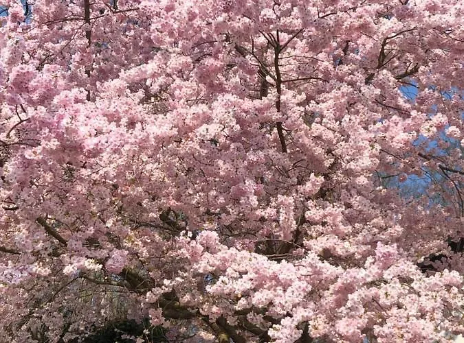 Ferienhaus Eisenach Feriehus Eisenach