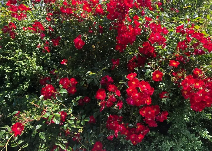 Holiday home Ferienhaus Eisenach *